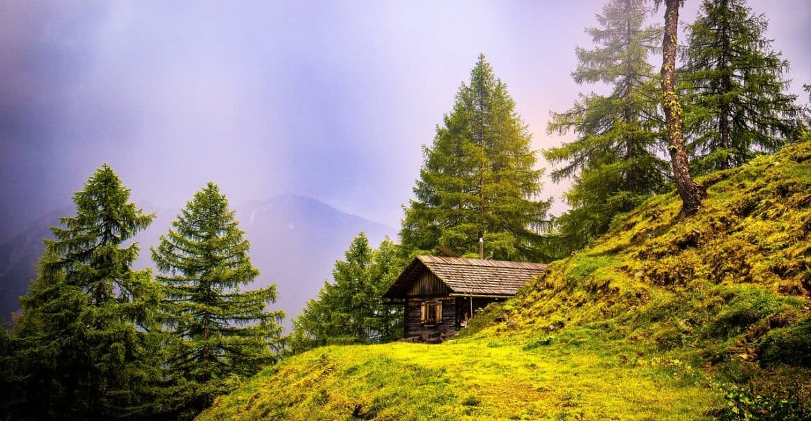 Bäume sind seit jeher mehr als nur ein Stück Natur. Sie sind lebendige Zeitzeugen, majestätische Gestalter der Landschaft – und Träger von Bedeutung und Symbolik. In vielen Kulturen gelten sie als Sitz von Göttern, Geistern oder Seelen Verstorbener. Sie spenden Schutz, erzählen Geschichten und bieten Orientierung – räumlich wie emotional. Besonders der Hausbaum spielt dabei eine herausragende Rolle: Er steht symbolisch für Heimat, Familie, Geborgenheit – und prägt das Gesicht eines Grundstücks über Generationen hinweg. Magie und Mythos – Bäume als spirituelle Begleiter Schon in der Antike wurden Bäume als heilig verehrt. In keltischen und germanischen Traditionen waren Bäume Mittler zwischen Himmel und Erde. Unter ihren Kronen wurden Rituale gefeiert, Opfer gebracht, Weisheit empfangen. Auch in der christlichen Überlieferung spielen Bäume eine Rolle – nicht selten wird von Erscheinungen der Heiligen an Bäumen berichtet. Kein Wunder also, dass Wallfahrtsorte häufig dort entstanden, wo ein besonderer Baum wuchs. Auch heute noch pflanzen viele Menschen einen Baum zu besonderen Lebensereignissen – zur Geburt, zur Hochzeit, zur Erinnerung an einen geliebten Menschen. Das Gedeihen des Baumes wird dabei als Spiegel des menschlichen Schicksals betrachtet. Ob es ein starker Stamm mit großer Krone wird oder ein zarter Baum mit Windschiefen – der Baum erzählt seine eigene Geschichte. Tradition des Hausbaumes Hausbäume haben eine lange Geschichte. Früher glaubte man, sie würden Unheil vom Haus fernhalten. Sie sollten Blitze ablenken, böse Geister vertreiben oder schlichtweg das Gebäude schützen. Bis heute ist der Hausbaum ein beliebtes Symbol für Stabilität, Standfestigkeit und Wachstum. Häufig wurden zur Dachgleiche oder bei der Geburt eines Kindes Bäume gepflanzt – Zeichen von Aufbruch, Freude und Hoffnung. Je nach Region bevorzugte man dabei unterschiedliche Arten: die Linde in Mitteleuropa, die Olive im Mittelmeerraum, die Zeder im Nahen Osten. Heute stehen neben diesen klassischen Arten auch Zierbäume, Obstbäume oder kleinkronige Gehölze hoch im Kurs. Praktische Vorteile von Hausbäumen Ein Haus ohne Baum wirkt oft kahl. Erst durch einen Baum wird ein Grundstück zum Garten. Er schafft Räume, spendet Schatten, schützt vor neugierigen Blicken – und erfüllt ganz nebenbei wichtige ökologische Funktionen: Klimaschutz und Luftreinigung Ein gesunder, großkroniger Laubbaum leistet täglich Erstaunliches: filtert pro Stunde rund 4000 m³ Luft verarbeitet 10 kg CO₂ pro Tag filtert jährlich über 100 kg Feinstaub produziert im Sommer Sauerstoff für bis zu 10 Menschen verdunstet täglich bis zu 400 Liter Wasser an heißen Tagen und kühlt so seine Umgebung merklich ab Lärmschutz und Windbremse Durch sein dichtes Blätterwerk wirkt ein Baum wie ein natürlicher Schallschutz. Er dämpft Verkehrslärm, Straßenlärm oder Nachbarschaftsgeräusche. Zudem fungiert er als Windbremse und schützt so empfindliche Bereiche wie Terrassen, Sitzecken oder Spielplätze. Lebensraum für Tiere Ein Baum ist auch ein Ökosystem: Vögel nisten in seinen Ästen Igel und Insekten überwintern im Laub Marienkäfer und Schwebfliegen vertilgen Schädlinge Bodentiere finden im Laubhumus Schutz vor Frost Ästhetik und Gartengestaltung Hausbäume verleihen einem Grundstück Charakter. Sie begrüßen Besucher, leiten den Blick und strukturieren die Fläche. Doch nicht jeder Baum ist für jeden Ort geeignet. Wichtig sind: Standort (Sonne, Schatten, Bodenbeschaffenheit) Wuchsform (säulenförmig, kugelförmig, ausladend) Jahreszeitlicher Reiz (Blüte, Laubfärbung, Rinde) Pflegeaufwand und Schnittverhalten Ein idealer Hausbaum ist attraktiv im Frühling (Blüte), spendet Schatten im Sommer, begeistert mit Herbstfärbung und bietet im Winter eine schöne Silhouette. Baumarten für verschiedene Grundstücke Für große Grundstücke: Linde (Tilia) – klassischer Dorflindenbaum, duftende Blüten, Bienenweide Walnuss (Juglans regia) – stattlich, essbare Früchte, markante Silhouette Ahorn (Acer platanoides) – prächtige Herbstfärbung, robuster Wuchs Tulpenbaum (Liriodendron tulipifera) – exotisch blühend, hohe Wuchsform Birne, Apfel oder Süßkirsche – Obst und Blütenschmuck in einem Für kleine Gärten: Kugelahorn ‘Globosum’ – kompakt, pflegeleicht, ideal für Reihenhausgärten Kugelrobinie ‘Umbraculifera’ – leichter, lichter Schirm, wenig Schattenwurf Säulen-Zierkirsche ‘Amanogawa’ – schmal, rosa Blüte, ideal für Eingangsbereiche Säulentulpenbaum ‘Fastigiata’ – aufrecht wachsend, imposant Trompetenbaum ‘Nana’ – kleinkronig, dekoratives Laub, keine Blüten Fazit: Ein Baum für die Seele und das Klima Ein Baum ist weit mehr als Gartendekoration – er ist Lebensraum, Klimaschützer, Schattenspender, Symbolträger und ästhetischer Mittelpunkt zugleich. Gerade in Zeiten des Klimawandels und zunehmender Versiegelung unserer Lebensräume ist jeder Baum ein Beitrag zu mehr Lebensqualität. Ob prächtige Linde oder platzsparender Kugelbaum – der richtige Hausbaum begleitet uns über Jahrzehnte, oft ein Leben lang. Wer einen Baum pflanzt, denkt nicht nur an sich, sondern auch an kommende Generationen. Und wie ein altes Sprichwort sagt: „Der beste Zeitpunkt, einen Baum zu pflanzen, war vor 20 Jahren. Der zweitbeste ist heute.“